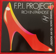 F.p.i. project rich usato  Italia