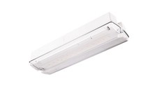 Luminária de evacuação/emergência ORION LED II 100 SA 3H MT IP65/91895/T2UK comprar usado  Enviando para Brazil