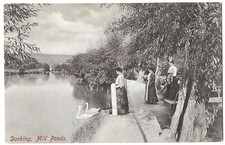 Dorking mill ponds for sale  PRESTON