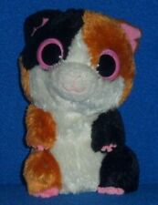 Nibbles guinea pig for sale  Northbrook