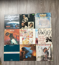 Vinyl schallplatten sammlung gebraucht kaufen  Worms