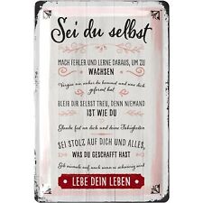 Usado, Blechschild SEI DU SELBST Geschenk zum Einzug vintage Metallschild 20x30cm comprar usado  Enviando para Brazil