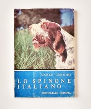 Caccia cani spinone usato  Torino