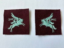 Parachute regiment cloth for sale  BUSHMILLS
