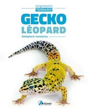 Gecko léopard eublepharis d'occasion  Joinville