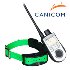 Sportdog tek 1.5 usato  Badia Cantignano