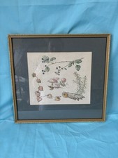 vintage framed print for sale vintage framed print for sale LAUNCESTON