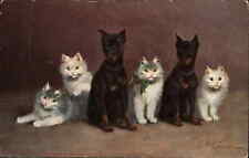 Cartão postal vintage A/s Doberman Pinscher cachorros com gatinhos gatinhos c1910 comprar usado  Enviando para Brazil