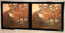 Autochrome paysage foret d'occasion  Louhans