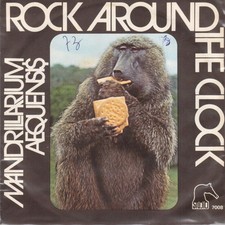 Mandrillarium aequensis rock usato  Napoli
