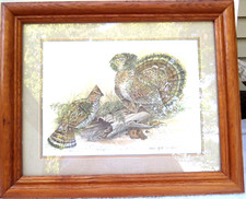 Matted framed 16.5 for sale  Roselle