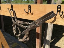 bronc halters for sale bronc halters for sale Biggs