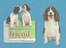 English springer spaniel for sale  Alva