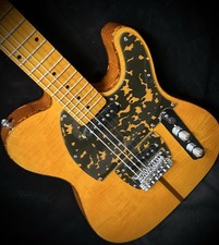 Firefly electric guitar for sale  Somonauk