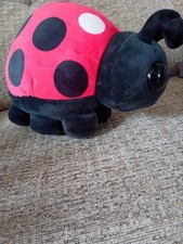 Adopt ladybird ladybug for sale  BURNLEY