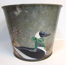 Duck eider water for sale  Willard