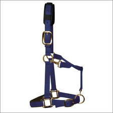 Elite padded headcollar for sale  BROXBOURNE