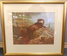 Framed print otter for sale  MIRFIELD