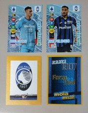 Panini adrenalyn winter usato  Afragola