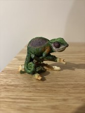 Small green chameleon for sale  NORWICH