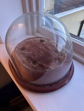 Vintage large glass for sale  WALTON-ON-THAMES