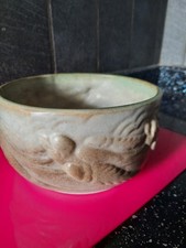 Langley planter birds for sale  HEANOR