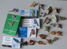 rspb pin badges robin for sale rspb pin badges robin for sale HARLOW
