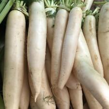 Daikon radish deer for sale  Deltona