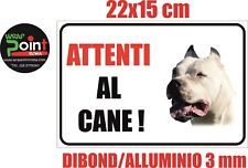 Dogo argentino attenti usato  Italia