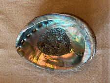Coquillage ormeau abalone d'occasion  Souppes-sur-Loing