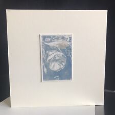 Original cyanotype duel for sale  WELLING
