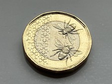 1 pound for sale 1 pound for sale  LIVERPOOL