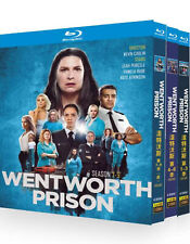 Wentworth stagione serie usato  Spedire a Italy
