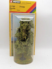 21790 baum esche gebraucht kaufen 21790 baum esche gebraucht kaufen  Friedrichsdorf