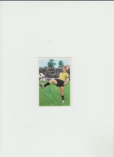 Bergmann sammelbild erwin gebraucht kaufen  Frankfurt am Main