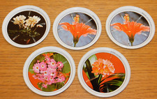 Vintage lot verre d'occasion  Saint-Louis