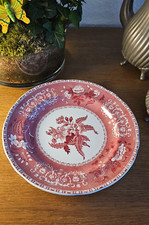 Speiseteller pink camilla gebraucht kaufen  Wiesmoor