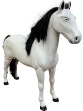 Large white horse for sale  EXETER