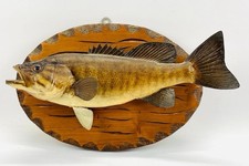 Vintage mounted taxidermy for sale  Fairfax