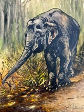 Junger elefant riginal gebraucht kaufen  Strausberg-Umland