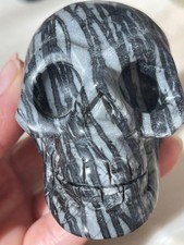 Natural black picasso for sale  Diamond Bar