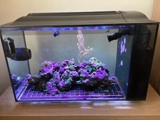 Marine reef nano for sale  FRINTON-ON-SEA