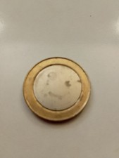Blank pound coin for sale  GATESHEAD