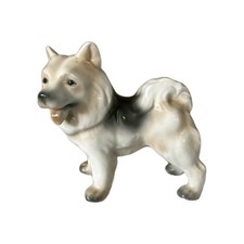 Erphila germany samoyed for sale  Massillon