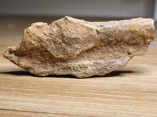 Kem kem fossil for sale  SOLIHULL