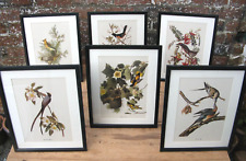 Vintage framed audubon for sale  CARLISLE