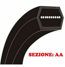 Cinghia esagonale trattorino usato  Ficarolo