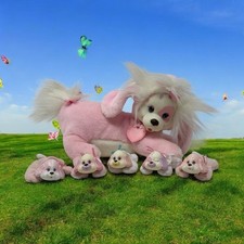Vtg puppy surprise for sale  Amherst
