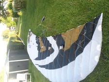 Kite flysurfer psycho gebraucht kaufen  Berlin