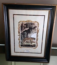 Framed two company for sale  Bronx